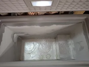 Skyrun Freezer 200l
