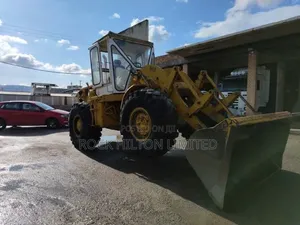 Call/WhatsApp to Rent Payloader