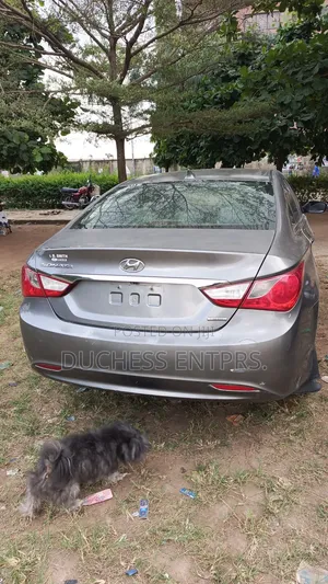 Hyundai Sonata 2012 Gray