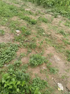 Land for Sale in Guzape Main