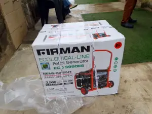 Firman 3990ES Generator for Home and Business