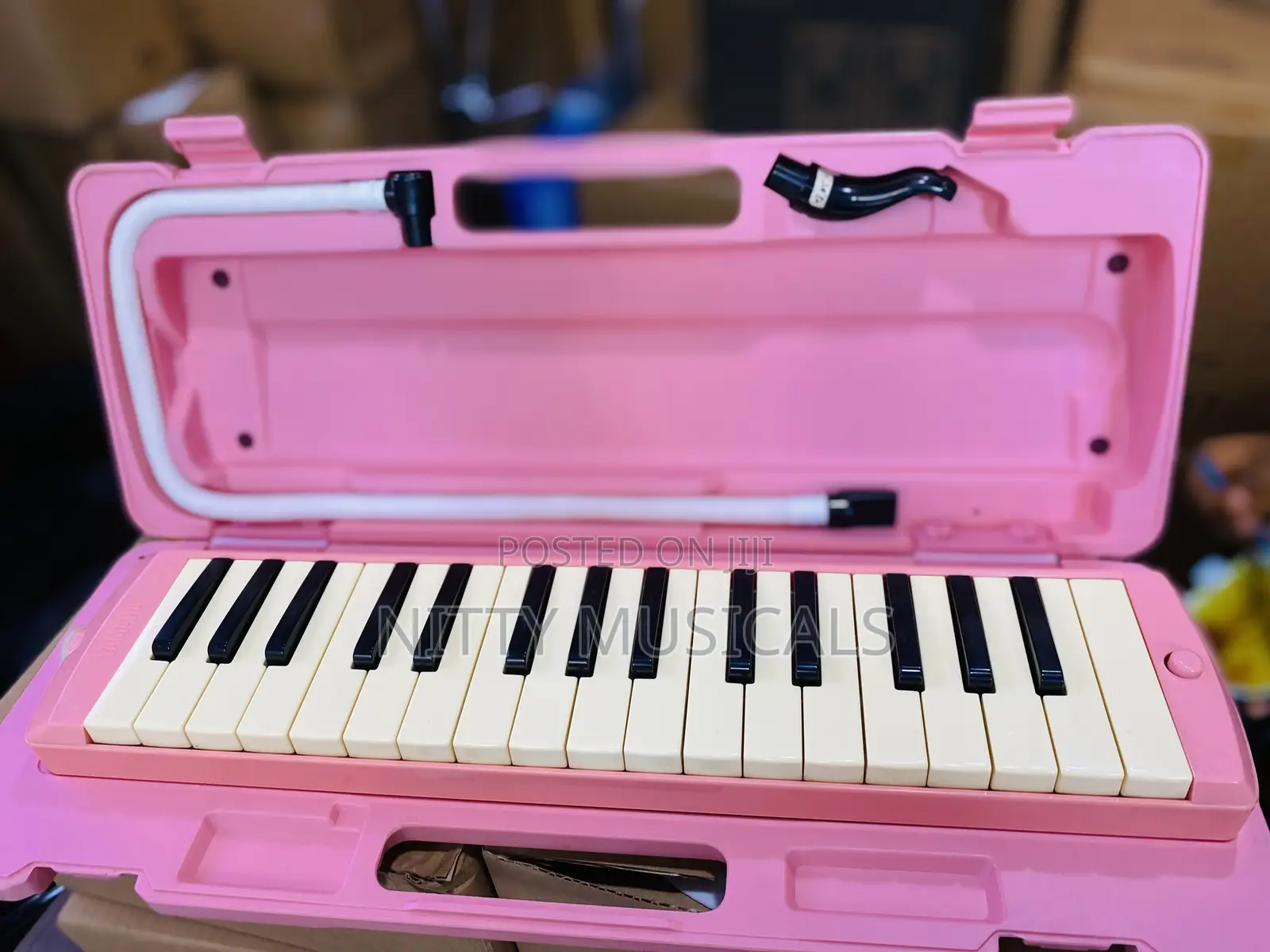 Brand New Melodion Keyboard (Melodica)