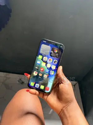 Apple iPhone 12 Pro Max 128 GB Gray