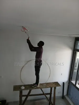 Professional Electrician