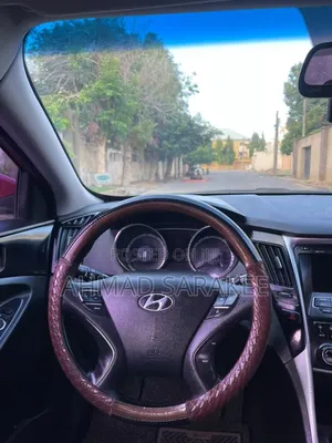 Hyundai Sonata 2009 Maroon