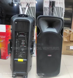 12inches Double PA System With Dual Wireless Microphone SonyMax SM-612
