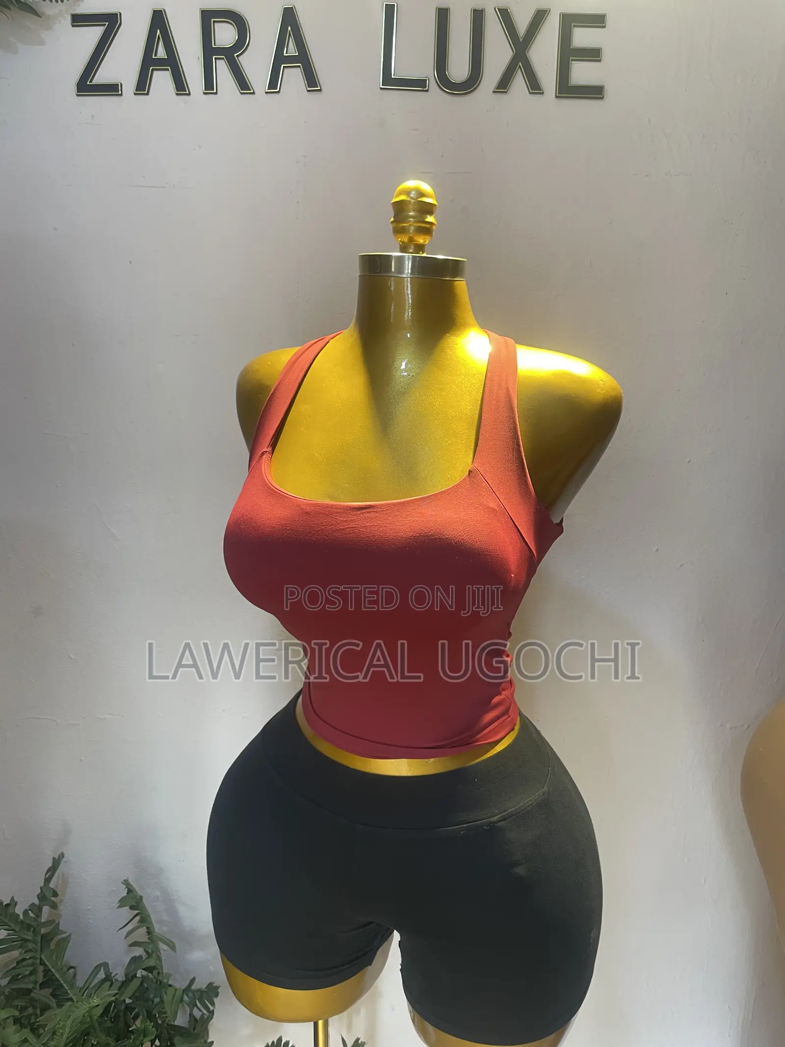 Zaraluxe Collection