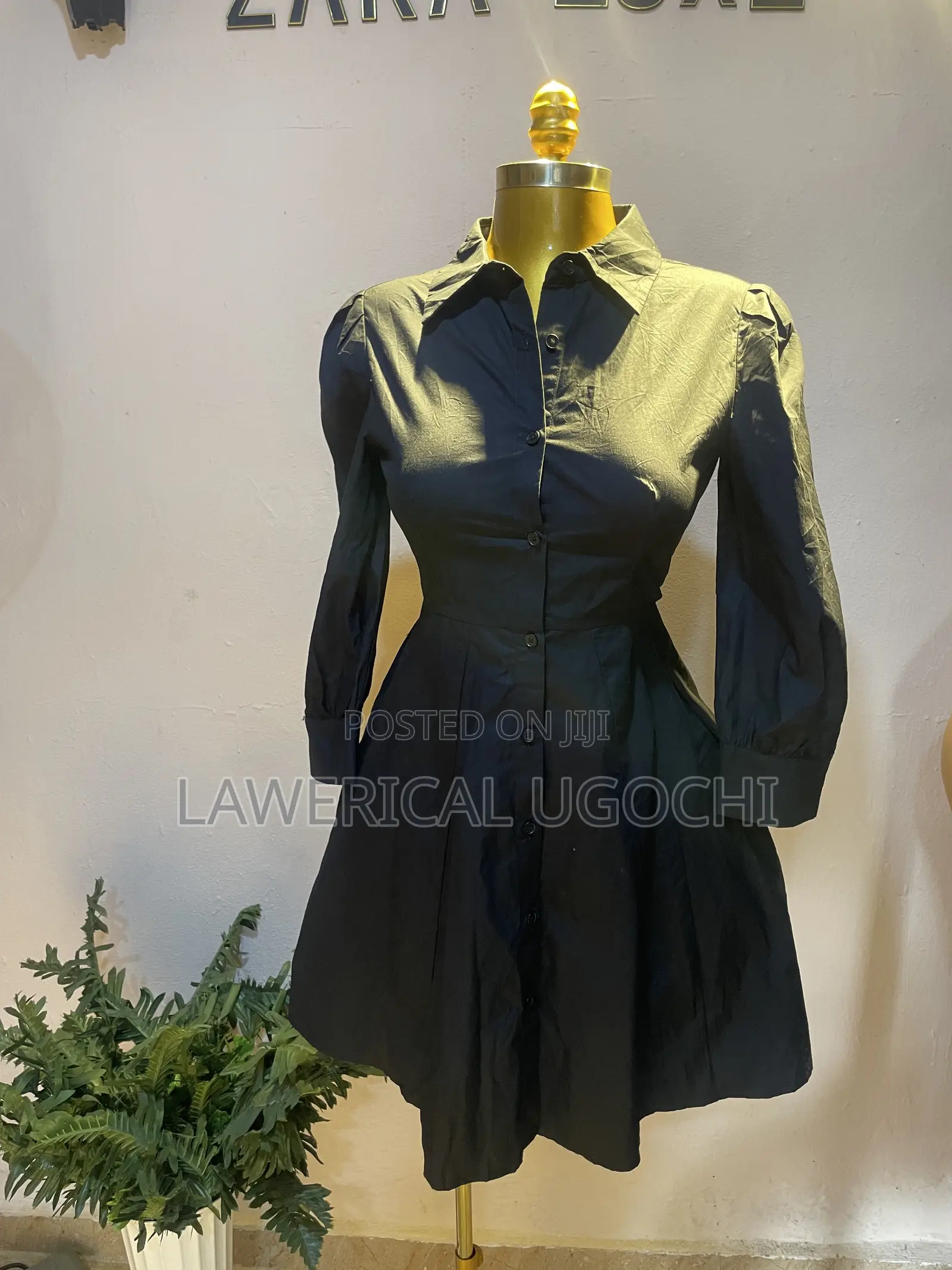 Zaraluxe Collection