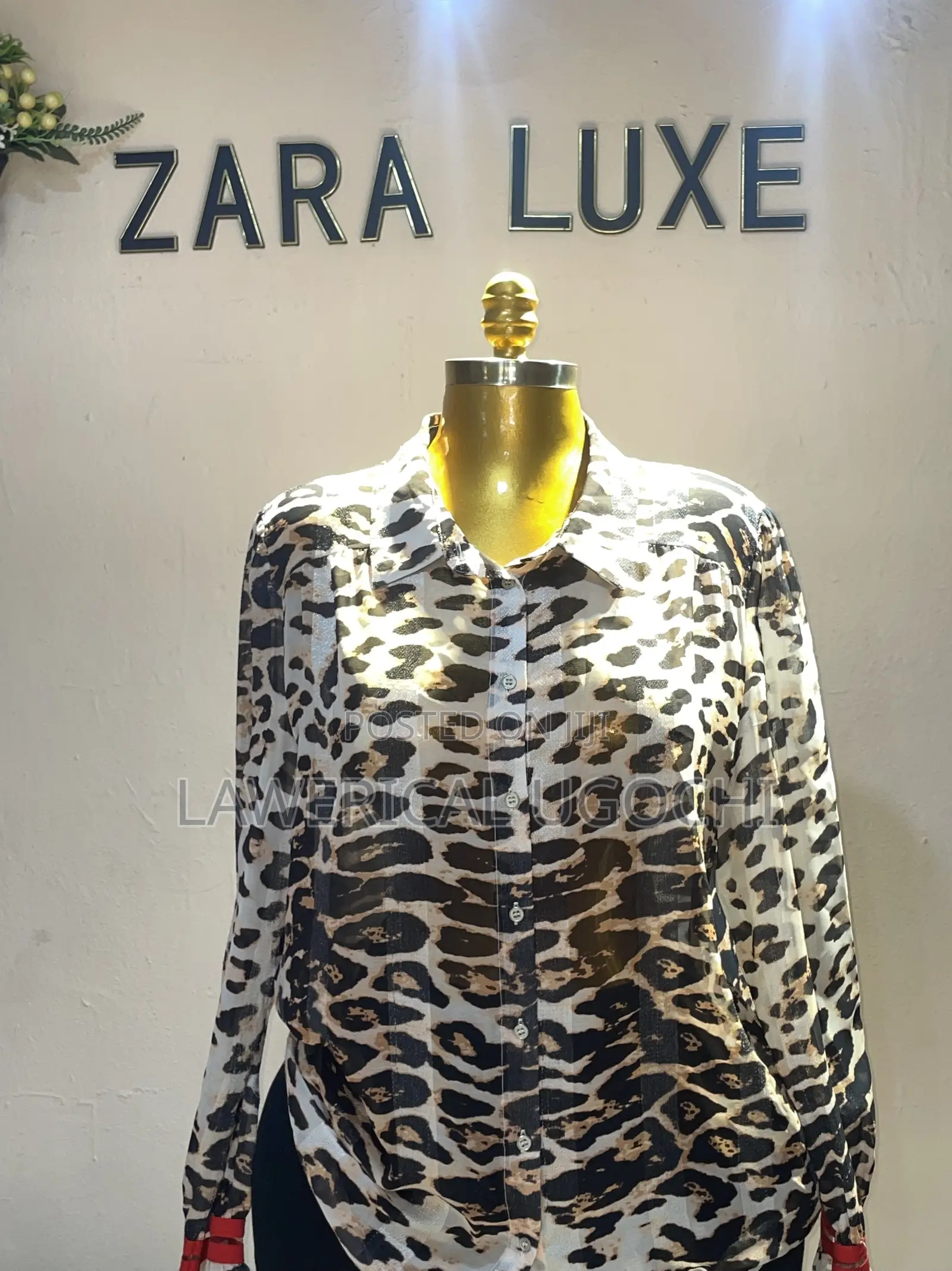 Zaraluxe Collection