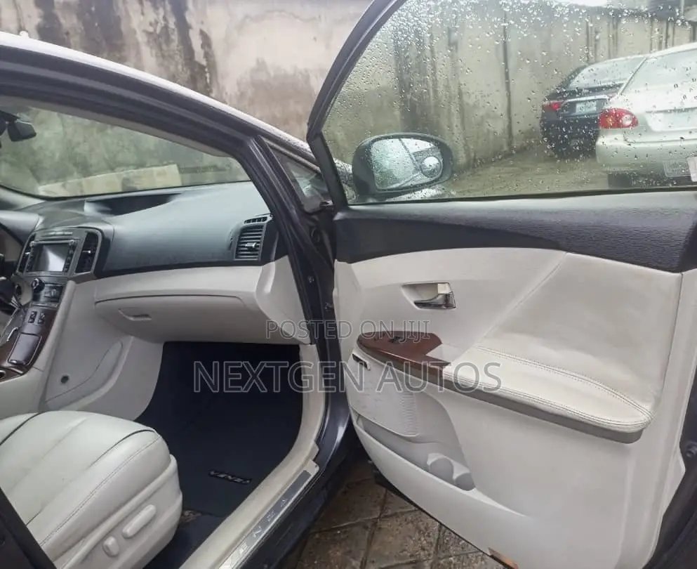 Toyota Venza 2010 Gray