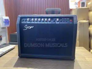 Smiger Tg-40r-Mic Lead Guitar Combo Amplifier