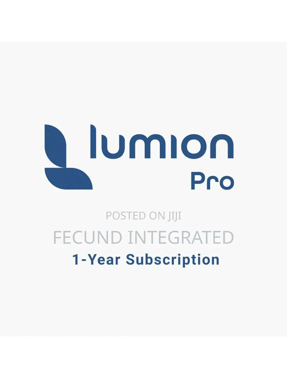 Lumion PRO Key for One Year