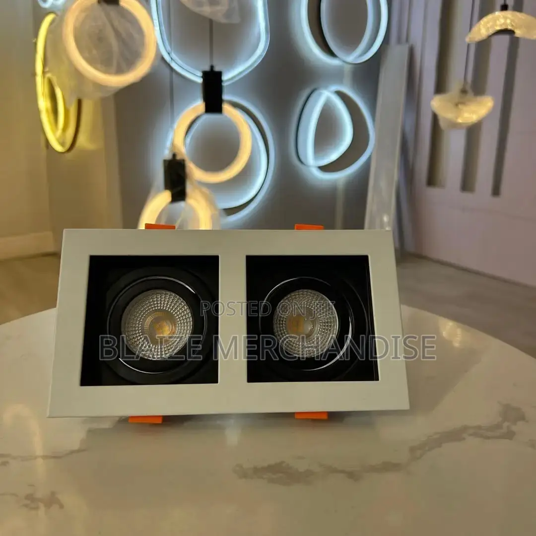 Double-Head Recessed COB LED Spotlight/Downlight