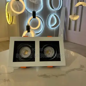 Double-Head Recessed COB LED Spotlight/Downlight
