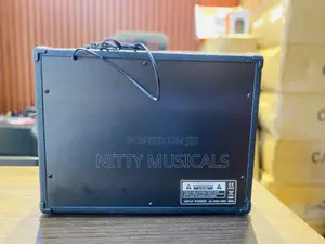Smiger Tg-40r-Mic Lead Guitar Combo Amplifier