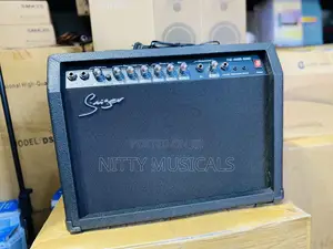 Smiger Tg-40r-Mic Lead Guitar Combo Amplifier