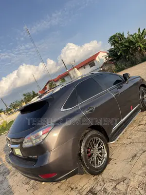 Lexus RX 350 2010 Gray