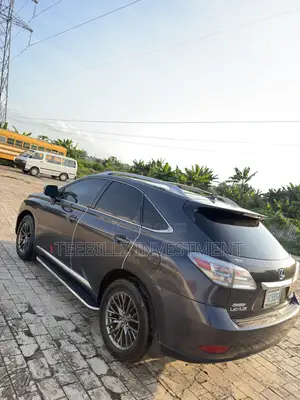 Lexus RX 350 2010 Gray