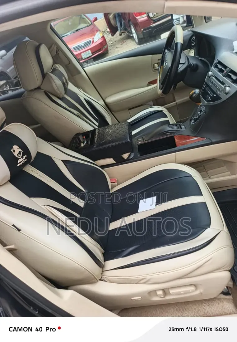 Lexus RX 2010 Blue