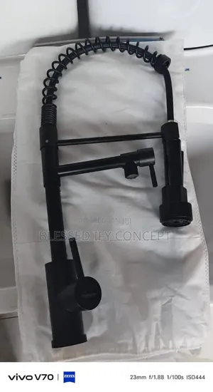 England Big Brother Bl Dual-Spout Spring-Neck Kitchen Mixer Faucet Tap