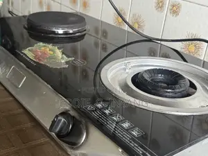 2in1 Gas Electric Cooker