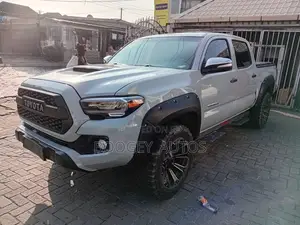 Toyota Tacoma 2011 Gray