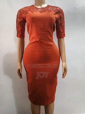 Zara Women Lace Dress (Thrift)