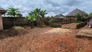 Fenced Developed 1 Plot Piggy/Poultry Farm Land for Sale