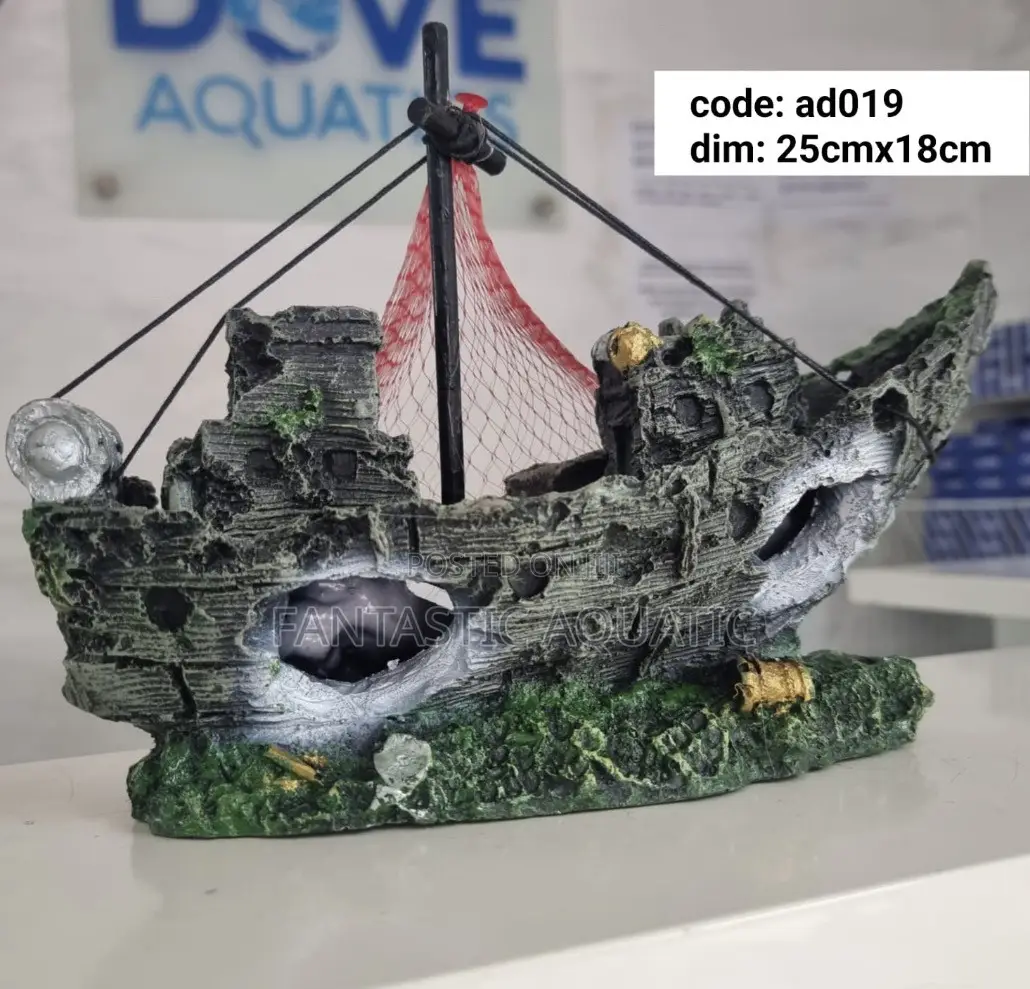 Available Rock Decorations for Aquariums