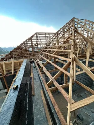 Roof Carcass Experts
