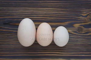 Afolabi Poultry Farm