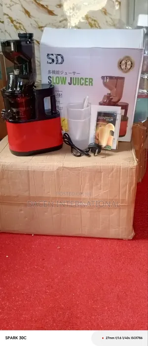 Domestic Slow Masticating Juice Extractor Blender