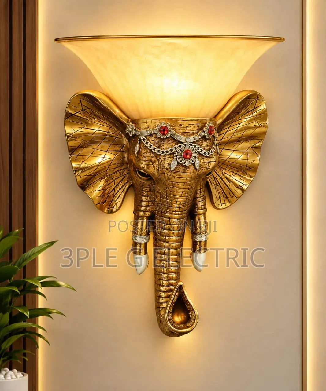Elegant Wall Light