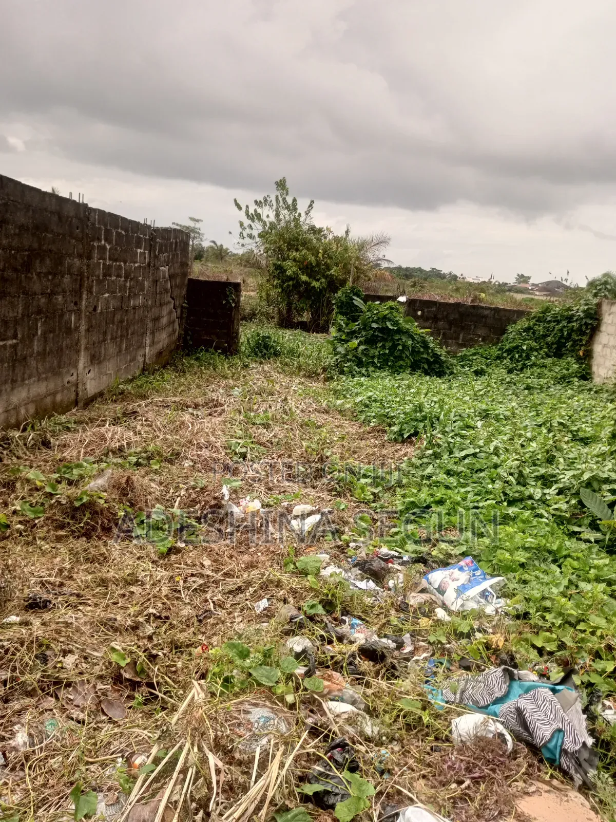 Land for Sales