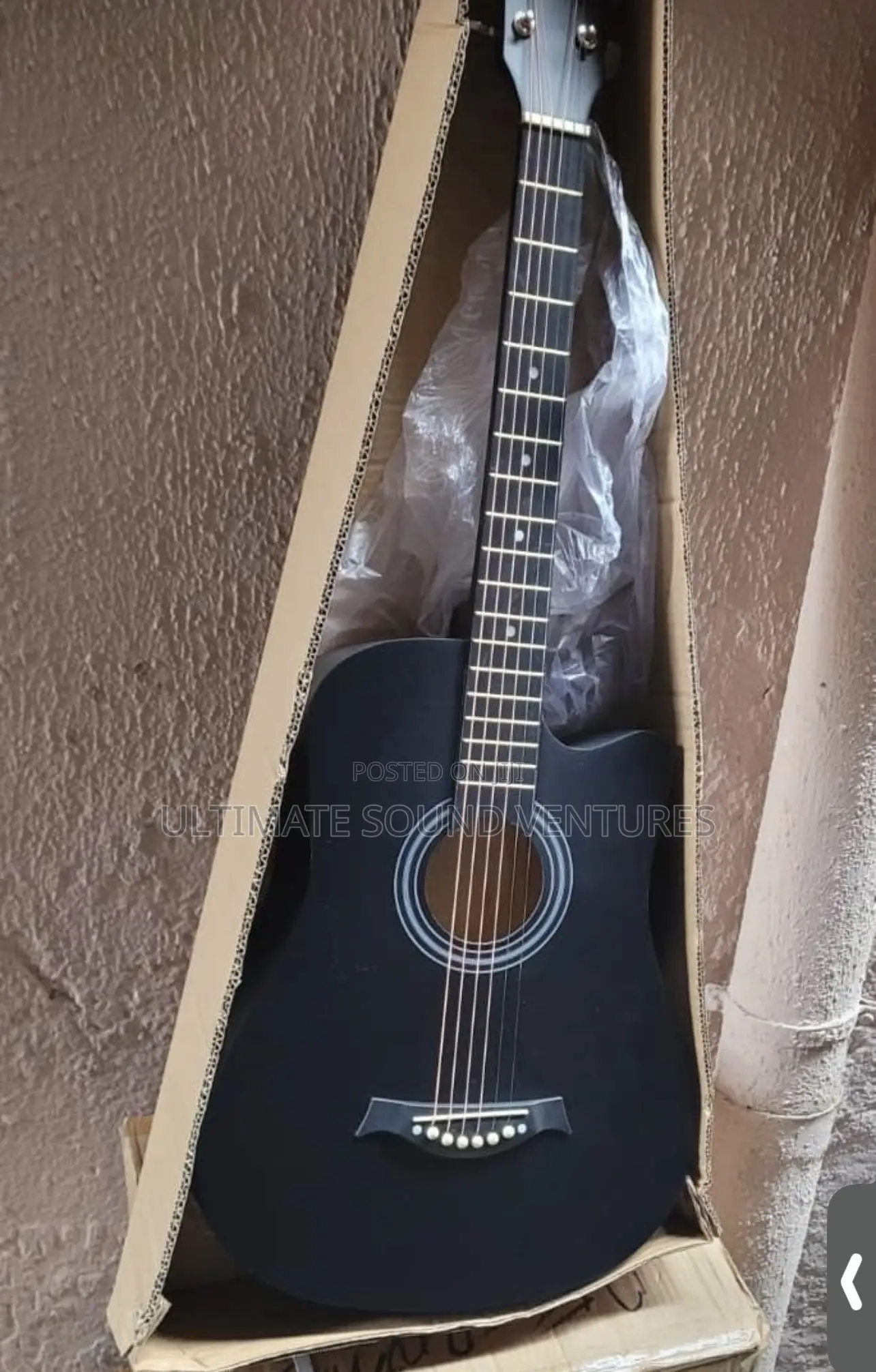 Semi Acoustic Guitar