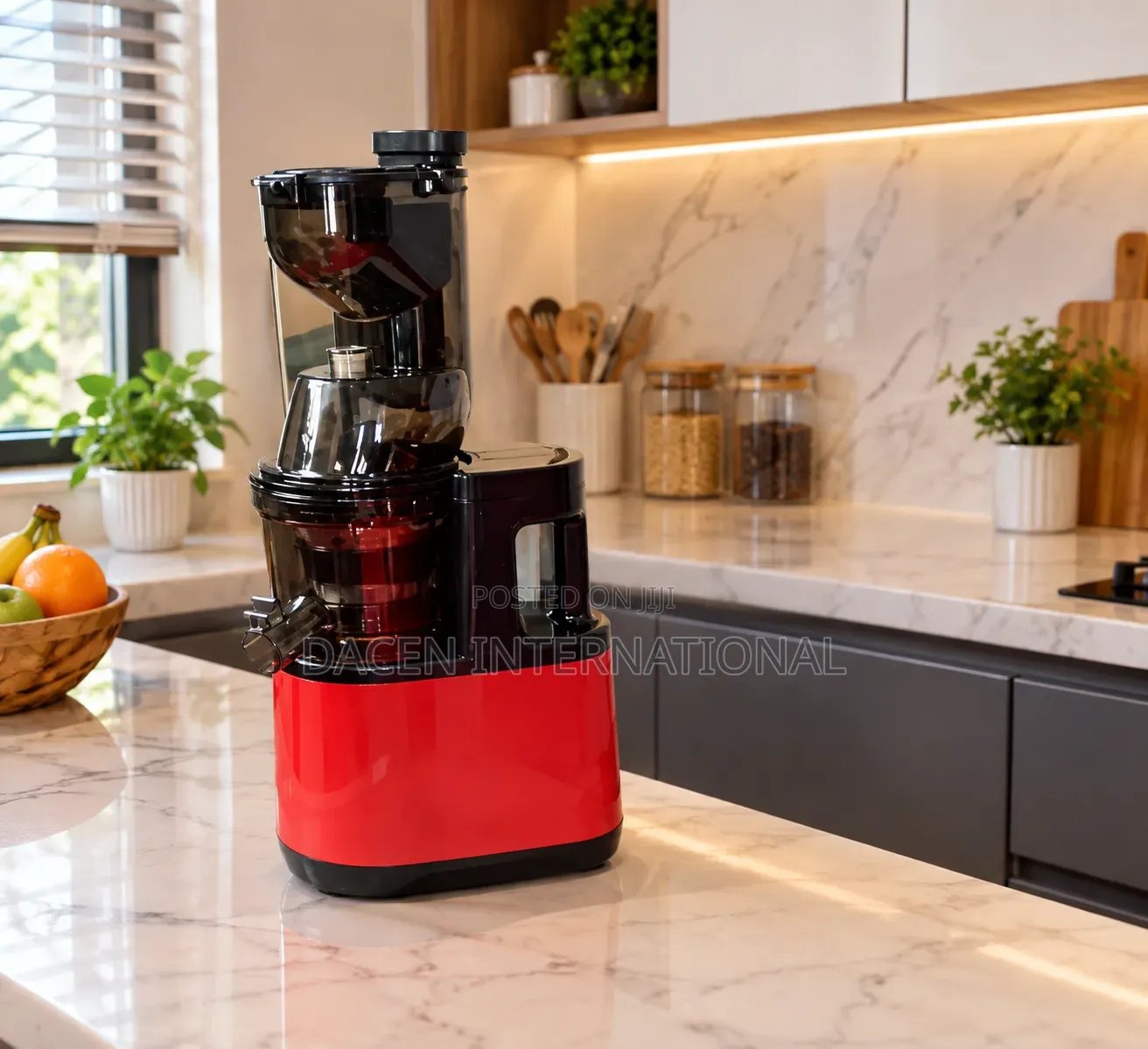 Domestic Slow Masticating Juice Extractor Blender