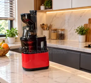 Domestic Slow Masticating Juice Extractor Blender