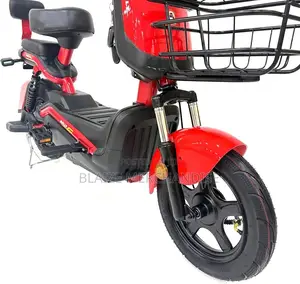 Urban Adult Electric Bicycle