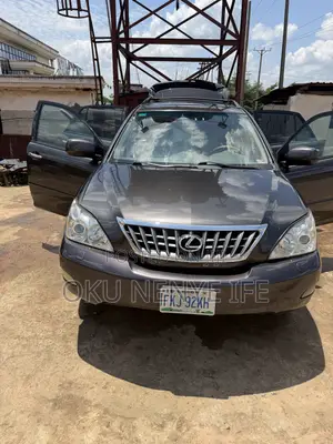 Lexus RX 2009 Gray