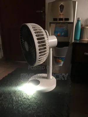 Chargeable Light and Fan
