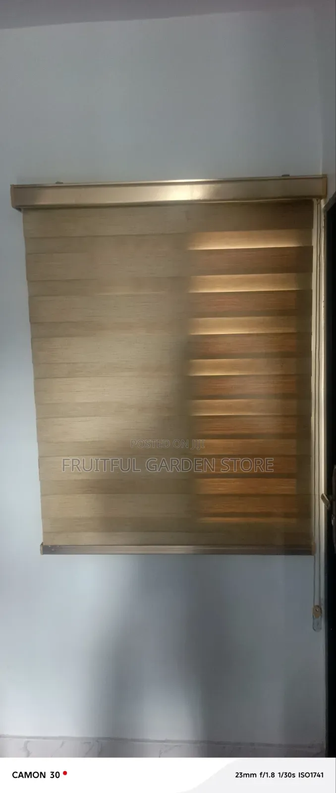 Best Window Blind