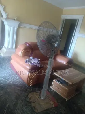 Ox Standing Fan