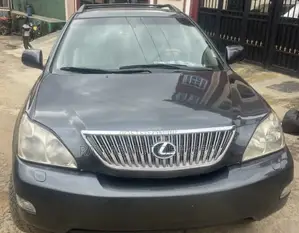 Lexus RX 2007 Gray