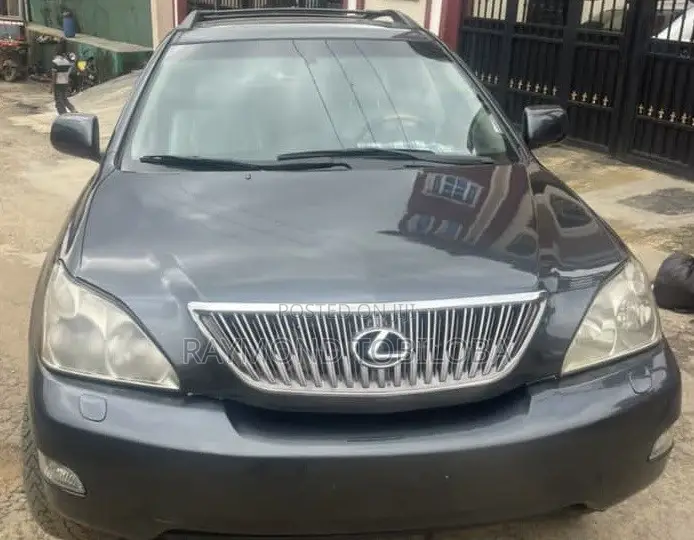 Lexus RX 2007 Gray