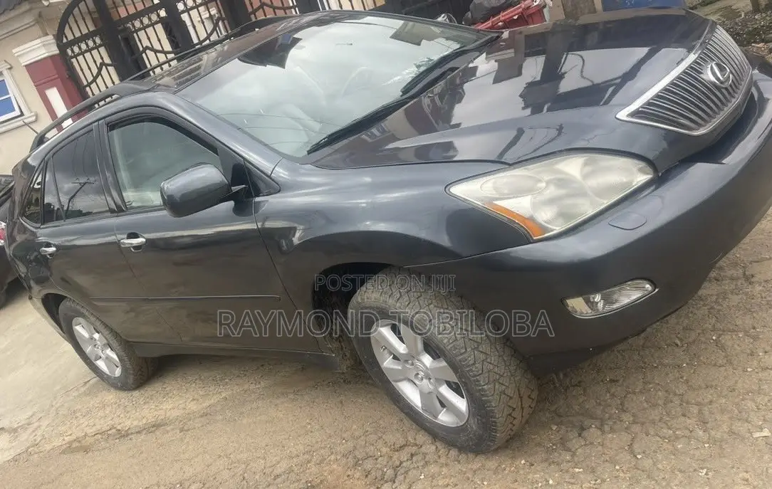 Lexus RX 2007 Gray