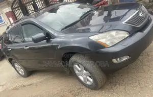 Lexus RX 2007 Gray