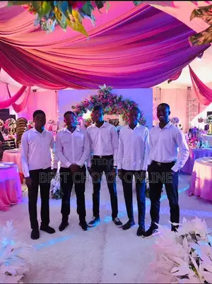 Professional Servers and Usher