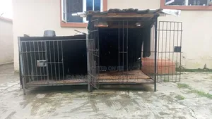 Metal Dog Cage