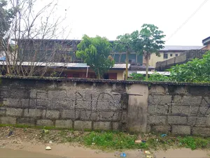 Almost Two Plot of Land and a Small Bungalow Inside