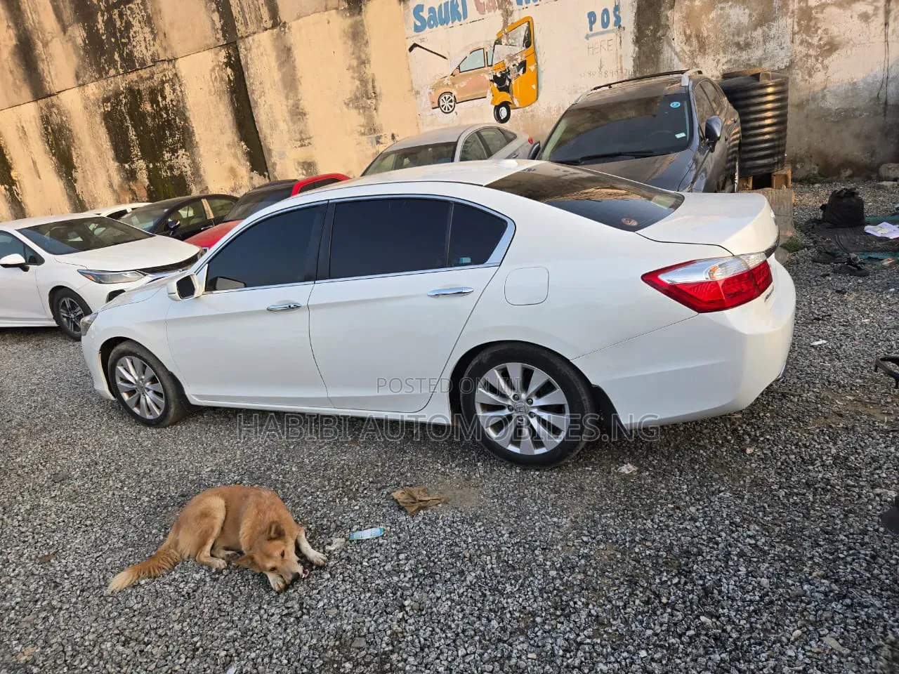 Honda Accord 2014 White